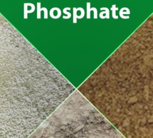 Le phosphate du Sénégal tombe de son piédestal au premier trimestre 2019 Le phosphate du Sénégal tombe de son piédestal au premier trimestre 2019