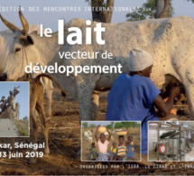 3ième édition du symposium sur le «lait, vecteur de développement», à Dakar 3ième édition du symposium sur le «lait, vecteur de développement», à Dakar