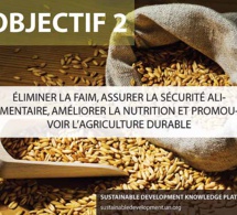 Le monde est bien loin de pouvoir atteindre les Objectifs de développement durable liés à l’alimentation et à l’agriculture
