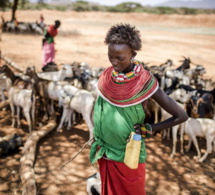 Lancement du rapport alarmant du GIEC sur le lien entre changement climatique, terres et alimentation