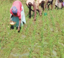 Abidjan accueille le premier forum ouest-africain sur le financement des engrais Abidjan accueille le premier forum ouest-africain sur le financement des engrais