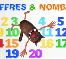 Résumé du bulletin mensuel des statistiques de l’Uemoa et dans le monde, août 2019