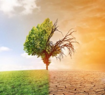Les politiques fiscales pour lutter contre le changement climatique