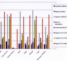 Les défis de collecte et de traitement de données sur l’inclusion financière dans l’Union économique et monétaire ouest africaine Les défis de collecte et de traitement de données sur l’inclusion financière dans l’Union économique et monétaire ouest africaine
