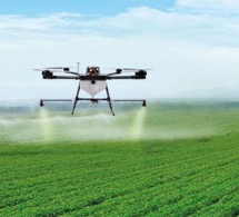 Tunisie : la Banque africaine de développement achève le projet pilote d’utilisation des drones dans le secteur agricole. Tunisie : la Banque africaine de développement achève le projet pilote d’utilisation des drones dans le secteur agricole.