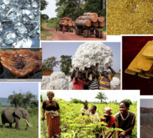 Centre Afrique : le FMI se félicite des progrès réalisés dans la mise en œuvre de l'Accord politique pour la paix et la réconciliation (APPR). Centre Afrique : le FMI se félicite des progrès réalisés dans la mise en œuvre de l'Accord politique pour la paix et la réconciliation (APPR).