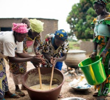 Sénégal : 14 500 emplois directs et 35 000 emplois indirects attendu du projet de zone de transformation agro-industrielle de la Casamance Sénégal : 14 500 emplois directs et 35 000 emplois indirects attendu du projet de zone de transformation agro-industrielle de la Casamance
