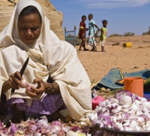 Niger : le Fmi liste les priorités de la réforme du programme économique et financier Niger : le Fmi liste les priorités de la réforme du programme économique et financier