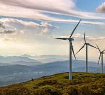 Premières perspectives mondiales pour les énergies renouvelables