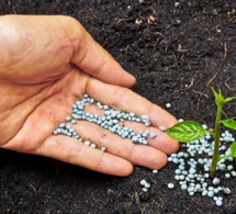 Projet 4R-Programme 4R-Engrais : une innovation canadienne au service de l’agriculture en Afrique subsaharienne