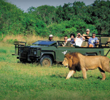 Tourisme : redressement et résilience au cœur des travaux de la commission régionale pour l’Afrique Tourisme : redressement et résilience au cœur des travaux de la commission régionale pour l’Afrique