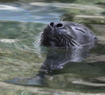 Industrie du voyage : le tourisme reprend son souffle Industrie du voyage : le tourisme reprend son souffle