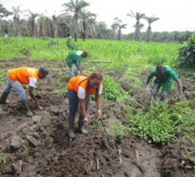 Afrique : l'âge moyen de la main-d'œuvre agricole varie d'environ 32 ans à 39 ans Afrique : l'âge moyen de la main-d'œuvre agricole varie d'environ 32 ans à 39 ans
