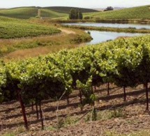 Etats-unis : les exportateurs privés déclarent leur activité de vente en Chine, en Corée du sud et dans destinations inconnues Etats-unis : les exportateurs privés déclarent leur activité de vente en Chine, en Corée du sud et dans destinations inconnues