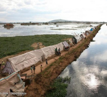 Climat-Afrique : graves menaces sur la santé humaine, la sécurité alimentaire, la paix et la biodiversité Climat-Afrique : graves menaces sur la santé humaine, la sécurité alimentaire, la paix et la biodiversité