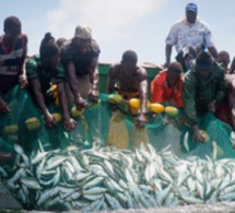 Pêche au Sénégal : appel à une gestion transparente des ressources halieutiques Pêche au Sénégal : appel à une gestion transparente des ressources halieutiques