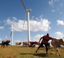 Afrique : intensifier les investissements dans les énergies renouvelables