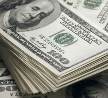 Les changements dans la composition monétaire des réserves des banques centrales décrits comme glaciaires. Les changements dans la composition monétaire des réserves des banques centrales décrits comme glaciaires.