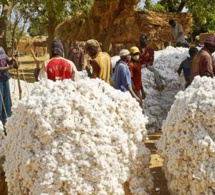 Balance des paiements Burkina Faso : le taux de croissance situé à 5,7 pour cent en 2019