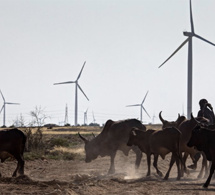 Financement privé : 175 milliards de dollars mobilisés par les banques et institutions de développement Financement privé : 175 milliards de dollars mobilisés par les banques et institutions de développement