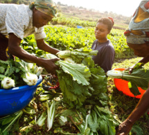 Bad-Bei : un partenariat pour accélérer le développement en afrique Bad-Bei : un partenariat pour accélérer le développement en afrique