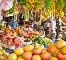 La nourriture offre des options de réponse à la pandémie covid19 La nourriture offre des options de réponse à la pandémie covid19