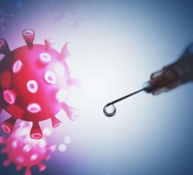 Gita Gopinath : «L’incertitude demeure énorme et les perspectives varient considérablement d’un pays à l’autre.» Gita Gopinath : «L’incertitude demeure énorme et les perspectives varient considérablement d’un pays à l’autre.»