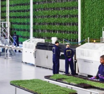 Agriculture : inauguration de la ferme verticale intelligente alimentée par la technologie Infinite Acres