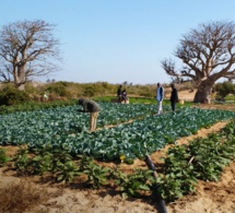 Chris O. Ojiewo : «des semences de meilleure qualité peuvent aider à vaincre la pandémie de faim en Afrique» Chris O. Ojiewo : «des semences de meilleure qualité peuvent aider à vaincre la pandémie de faim en Afrique»