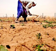 Risques humanitaires liés aux changements climatiques : ce que les assurances peuvent faire pour éviter le pire