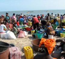 Journée internationale des droits des femmes: Greenpeace Afrique plaide pour des conditions de vie améliorées Journée internationale des droits des femmes: Greenpeace Afrique plaide pour des conditions de vie améliorées