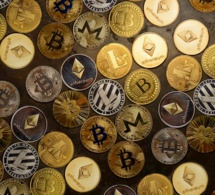 Technologie blockchain : hausse considérable des nouvelles créations de crypto-monnaies
