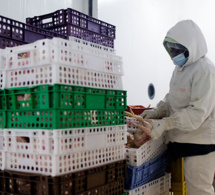 Côte d’Ivoire : importante progression du Pib en 2019 et 2020 et pourrait être meilleur en 2021 Côte d’Ivoire : importante progression du Pib en 2019 et 2020 et pourrait être meilleur en 2021