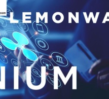 Transfert de fonds : Nium s’ouvre à l’Afrique Transfert de fonds : Nium s’ouvre à l’Afrique