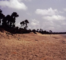 Gambie : les agriculteurs de Gunjur agacés par l’extension d’une usine chinoise de production de farine de poisson Gambie : les agriculteurs de Gunjur agacés par l’extension d’une usine chinoise de production de farine de poisson