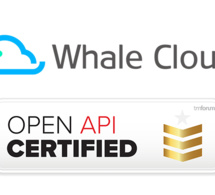 Whale Cloud devient la première entreprise au monde à obtenir le badge platine du TM Forum en matière de conformité des API ouvertes Whale Cloud devient la première entreprise au monde à obtenir le badge platine du TM Forum en matière de conformité des API ouvertes