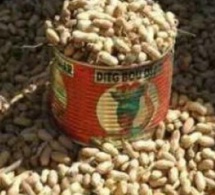 Arachide-Sénégal-Afrique : 721.386 tonnes de graines collectées pour des ressources financières exceptionnelles de 216 milliards Arachide-Sénégal-Afrique : 721.386 tonnes de graines collectées pour des ressources financières exceptionnelles de 216 milliards