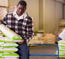 Le Mécanisme africain de financement du développement des engrais veut mobiliser plus de ressources pour investir dans de nouveaux projets Le Mécanisme africain de financement du développement des engrais veut mobiliser plus de ressources pour investir dans de nouveaux projets