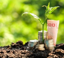 Agroalimentaire Afrique : les mis en garde du Dg de la Fao contre le sous-financement du secteur