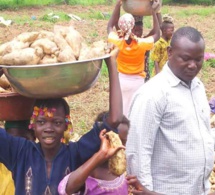 Agriculture et agro-industries-Burkina Faso: de belles perspectives s’annoncent pour 2025 Agriculture et agro-industries-Burkina Faso: de belles perspectives s’annoncent pour 2025