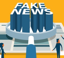 Afrique : des indices pour repérer la désinformation en ligne Afrique : des indices pour repérer la désinformation en ligne