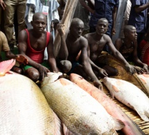 Nigéria : le développement socio-économique menacé par la pêche illégale
