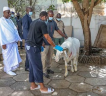 Tabaski 2021-Sénégal: le chef de l'Etat a pris une mesure qui va soulager les travailleurs Tabaski 2021-Sénégal: le chef de l'Etat a pris une mesure qui va soulager les travailleurs