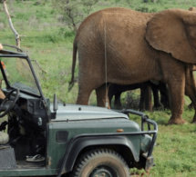 Tourisme : engagement de Windhoek pour promouvoir la marque Afrique. Tourisme : engagement de Windhoek pour promouvoir la marque Afrique.