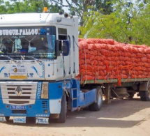 Sénégal : le geste à double impact du projet d’appui à la réduction de l’émigration rurale et à la réinsertion dans le bassin arachidier