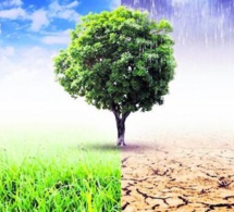 Quel lien entre sensibilité au climat et rendement des obligations des entreprises privées dans la zone euro ?