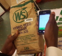 La lutte contre la fraude économique : comment les pays africains relèvent le défi La lutte contre la fraude économique : comment les pays africains relèvent le défi