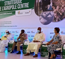 Projet de zone de transformation agro-industrielle du centre du Sénégal: la bad et ses partenaires en mission pour recueillir les informations et déterminer la faisabilité du projet