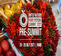 Plus de 100 pays discutent de leurs visions de l'avenir alimentaire national pour accélérer l'action mondiale avant le sommet de septembre Plus de 100 pays discutent de leurs visions de l'avenir alimentaire national pour accélérer l'action mondiale avant le sommet de septembre