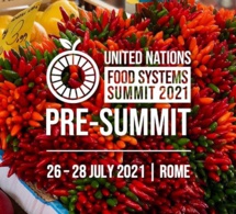 Les dirigeants africains donnent la priorité aux politiques de soutien aux jeunes et aux femmes lors du pré-sommet des Nations unies sur les systèmes alimentaires